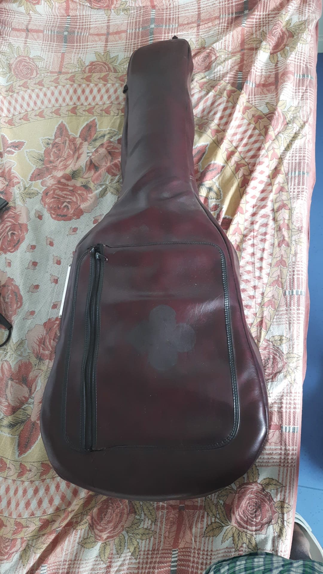 Guitar with bag