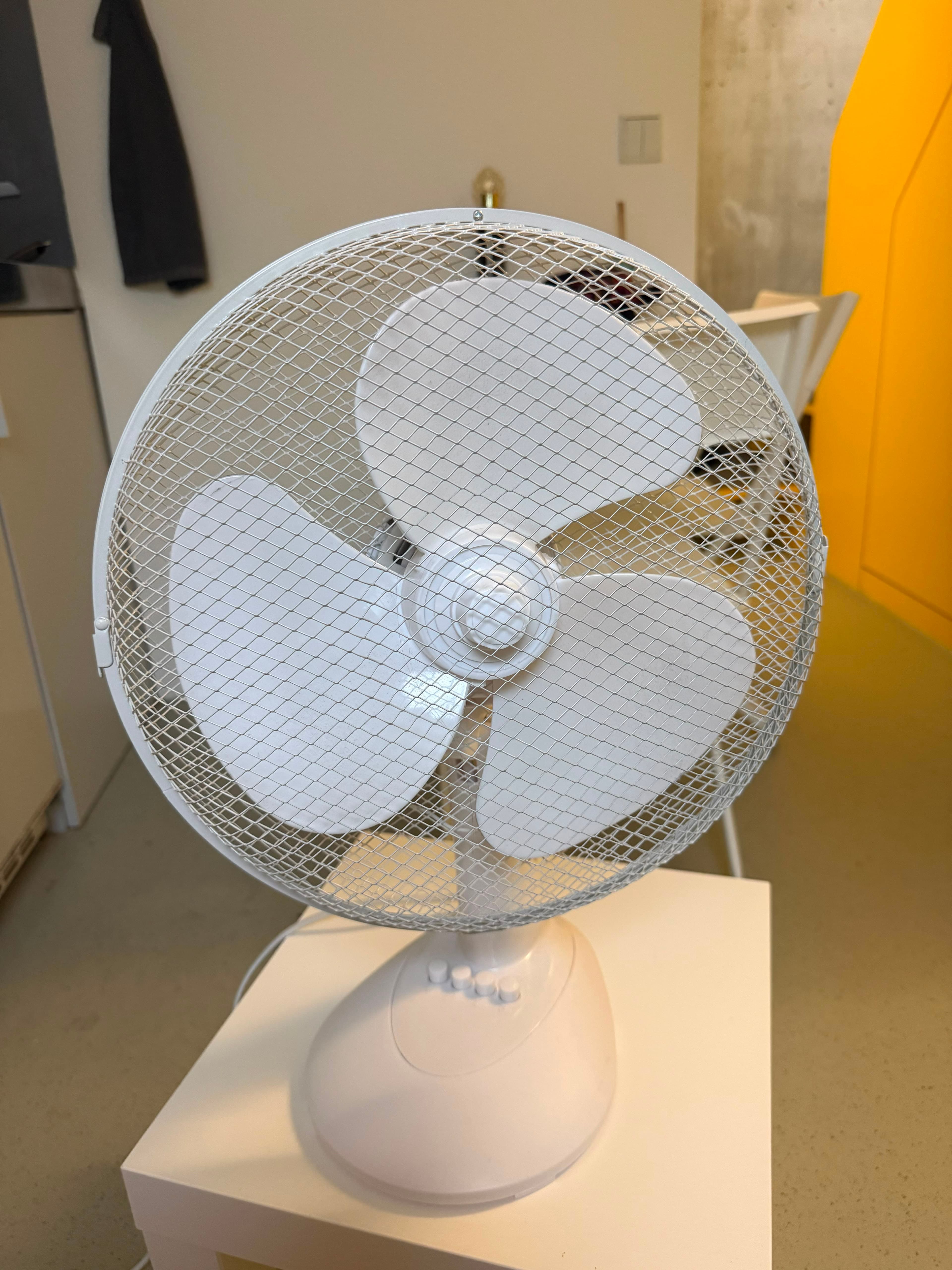 Fan