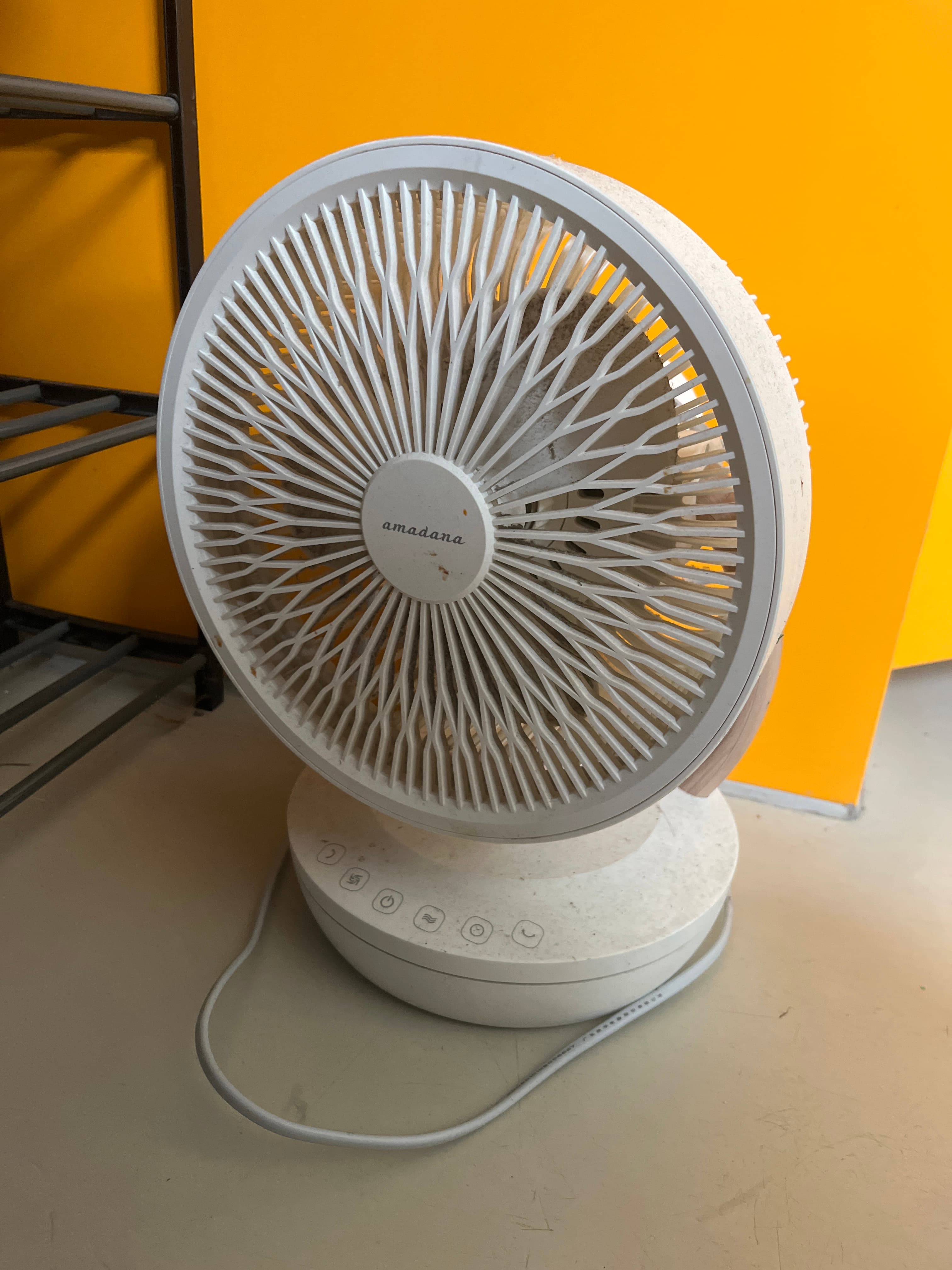 Fan